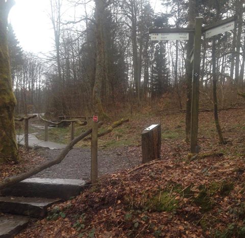 Renaturierung der Siegquelle