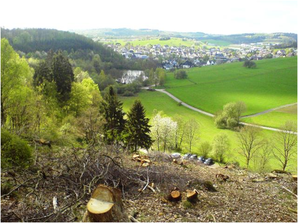 Freudenberg